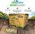 Clean Idea® EcoFlosser – Empaquetado Individual – 180 Púas – Púa de Hilo Dental - Styla