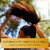 Herbal Essences® Bio:Renew Crema para Peinar Manuka Honey - Control de Frizz y Caída, 300 ml en internet
