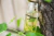 Hermès® Le Jardin De Monsieur Li - Eau De Toilette 3.3 Fluid Ounce - comprar en línea
