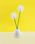 Imagen de Q-tips® Cotton Swabs - Paquete Club de 1875 unidades (3 Paquetes de 625)