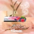 Kleenex® Pañuelos Faciales con Aroma a Frutos Rojos: Suavidad y Frescura en Cada Uso en internet