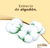 Kleenex® Cottonelle Beauty Papel Higiénico de Hojas Triples - 18 Rollos (180 Hojas por Rollo) en internet
