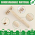 EZTAT2® 50 Maquinillas de Afeitar Ecológicas - Biodegradables y Reciclables