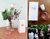 MARY KAY® Modern Charm Eau de Parfum - comprar en línea