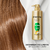 Pantene® - Shampoo Minute Miracle Restauración, con Aceite de Argán, Uso Diario, 480 ml