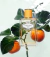 Prada® Infusions De Mandarine 100 ml EDP Spray