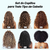 Set de 4 Cepillos para Cabello Rizado Shoonlo® - Incluye Peine Desenredante, Peine de Cola y Pinzas para el Cabello - comprar en línea