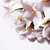 Shiseido® White Lucent Day Emulsion for Unisex 1.7 oz Emulsion