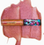 TARTE® Tarteist Remix Lipgloss en internet