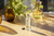 The Body Shop® Mango Body Mist, Paraben-Free Body Spray, 3.3 Fl. Oz. - comprar en línea