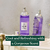 White Musk Body Mist de The Body Shop® - Frescura y aroma encantador para tu piel en internet