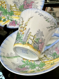 Trio de te Windsor - tazas mias