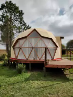 Revestik Ideal DOMOS en internet