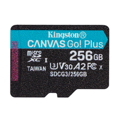 Memoria microSD Kingston Canvas Go Plus 256GB - comprar online