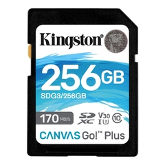 Memoria SD Kingston Canvas Go Plus 256GB 170MB/s en internet