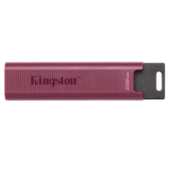 Kingston DTMAXA 256GB USB 3.2 Gen 2 Type A 1000MB/s - comprar online