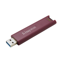 Kingston DTMAXA 256GB USB 3.2 Gen 2 Type A 1000MB/s