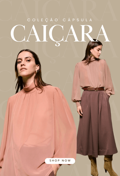 Carrossel 1