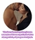 Banner de Sex Shop - Shop da Lua 