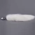 Plug Anal - Foxtail on internet