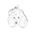 White Poodle Caniche