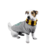 Buzo Harry Potter con Bufanda en internet