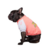 Buzo Sin Capucha VAF Coral - Somos Pet Shop