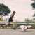Zee.run Belt en internet