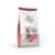 Sieger Katze Senior 7+