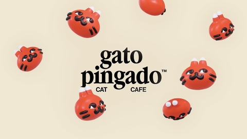 Vídeo de Gato Pingado 