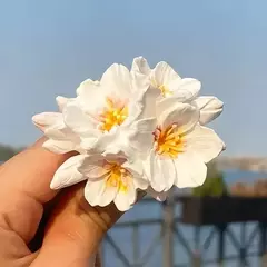 Molde de Silicona Flores para Elaboración en Resina, Porcelana Fría, Velas y Otros Usos Artesanales - Lua Distribuidora