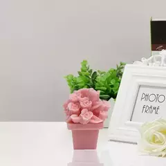 Molde Silicona Maceta Con Rosas Velas, Resina, Yeso, Etc - tienda online