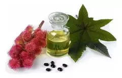 Aceite De Ricino Virgen Calidad Premium