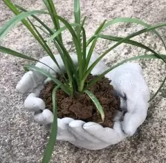 Molde De Silicona Manos Bandeja - comprar online