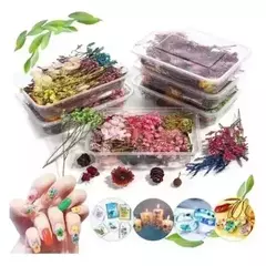 Pack Flores Secas Especial Para Velas, Resina, Etc. - comprar online