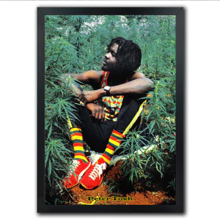 Poster Quadro Reggae Peter Tosh Roots Cultura Equal Rights - comprar online