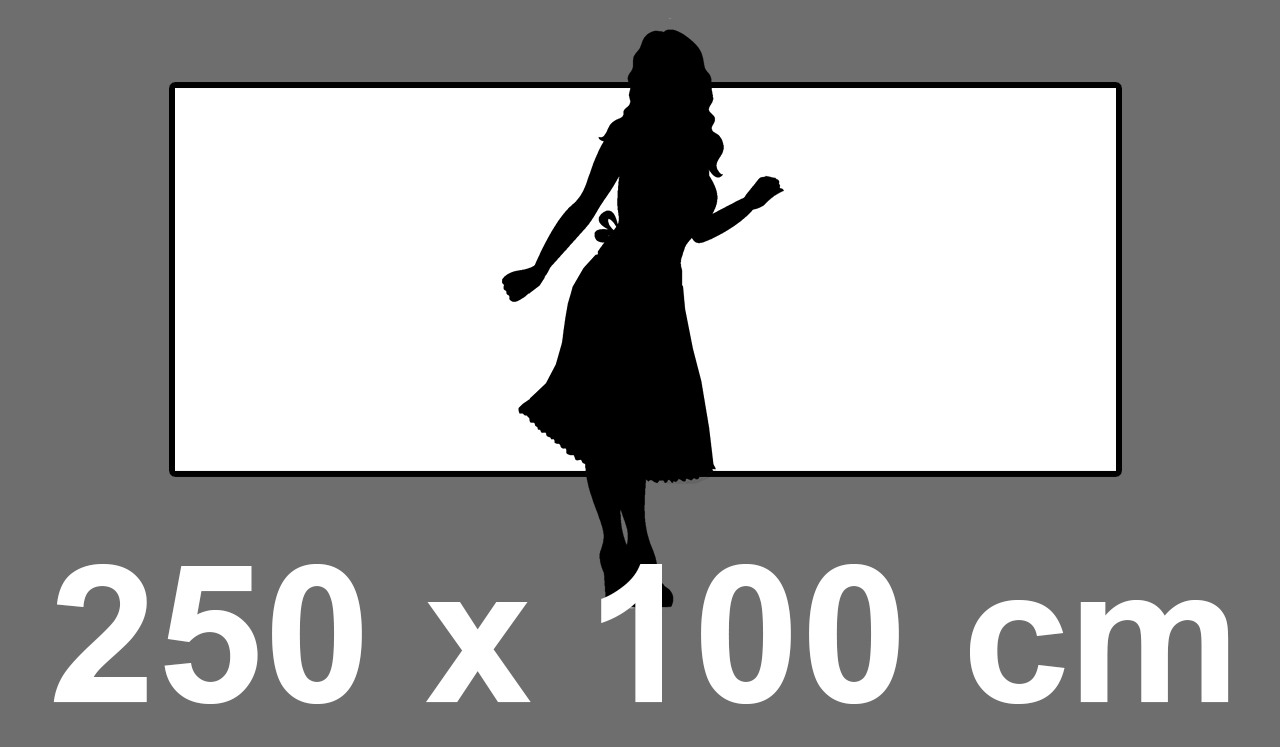250x100cm