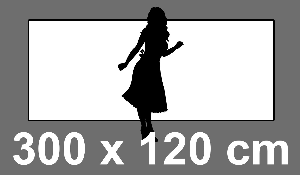 300x120cm