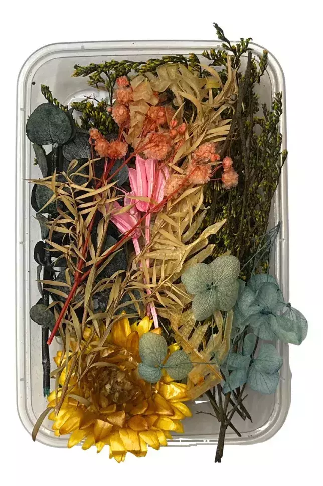 PACK FLORES PLANTAS Y HOJAS SECAS VARIAS