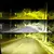 Led 3 cores milha H11 - Ford Focus 2000/2019 - Red Garage Store Brasil