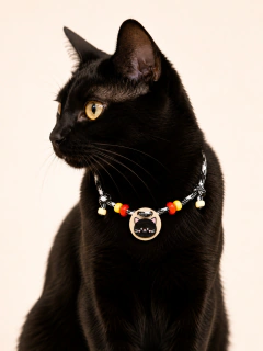 Collar Regulable con Michi Dije Gato Negro