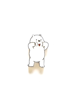 Imán Polar