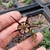 Caralluma socotrana x Ceropegia stapeliformis - comprar online