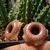 Huernia 'arenite'