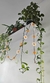Guirlanda de Girasoles Stock - comprar online
