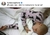 PJM GATITO - comprar online