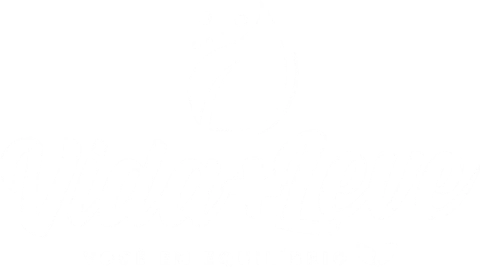 Vida+Leve