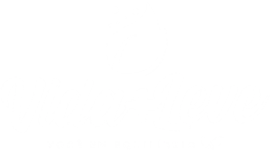 Vida+Leve