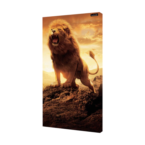 QUADRO ACÚSTICO - LEÃO RUGINDO