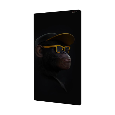 QUADRO ACÚSTICO - MACACO DE ÓCULOS